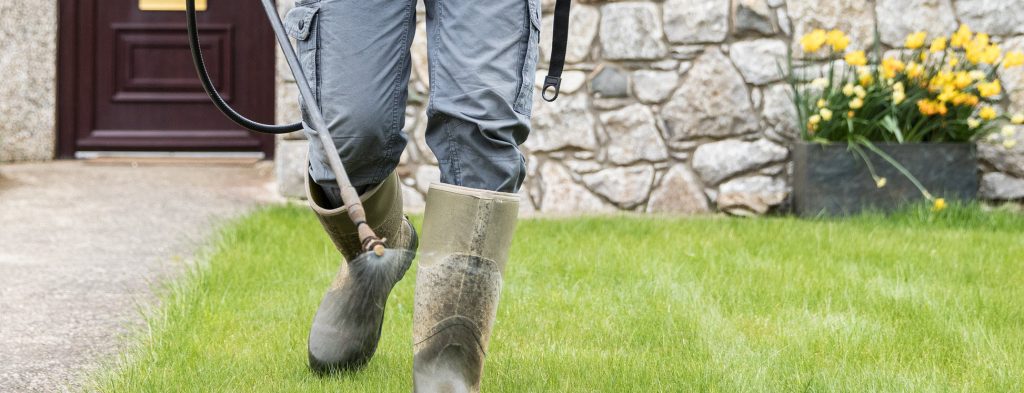 Gardener Spraying Weed Killer